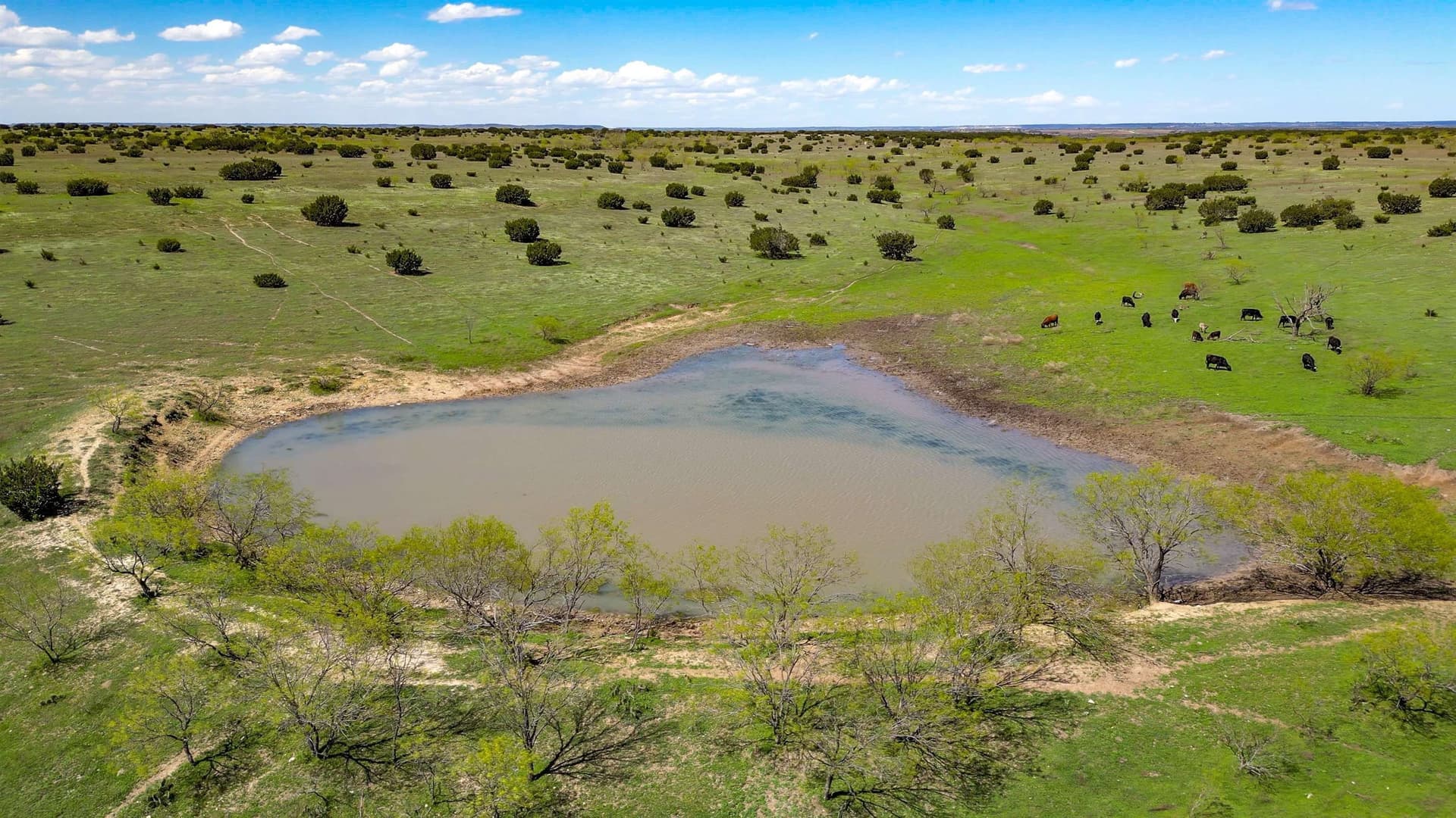 686.04 acres in Lampasas County