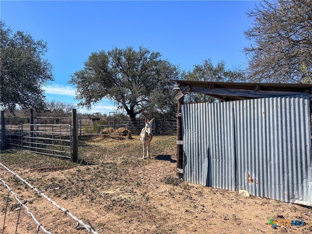 37.04 acres in Bee County - photo 31