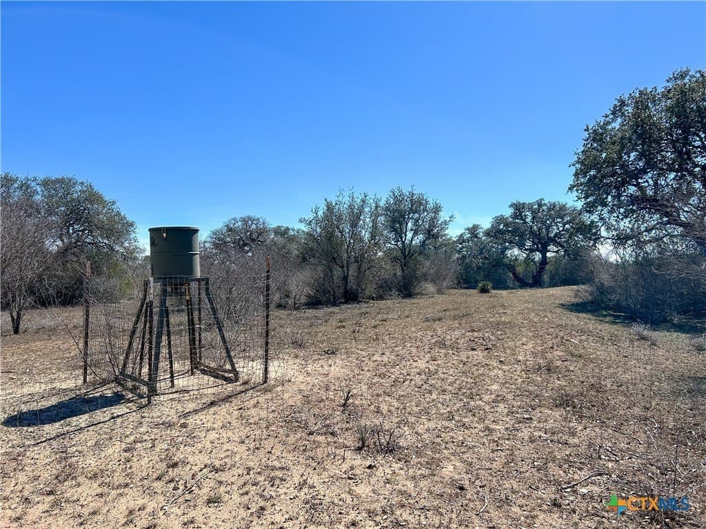 37.04 acres in Bee County - photo 35