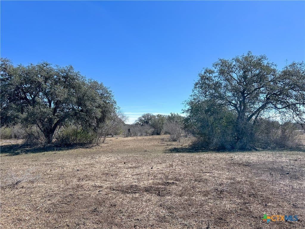 37.04 acres in Bee County - photo 38