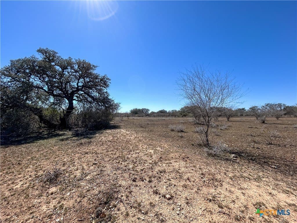37.04 acres in Bee County - photo 42
