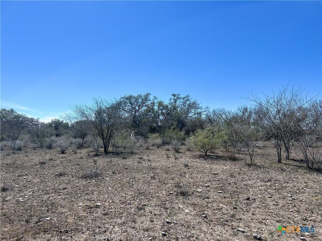 37.04 acres in Bee County - photo 37