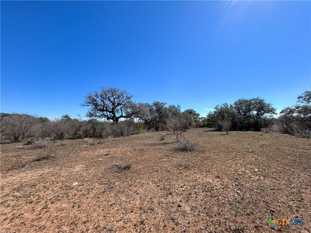 37.04 acres in Bee County - photo 39