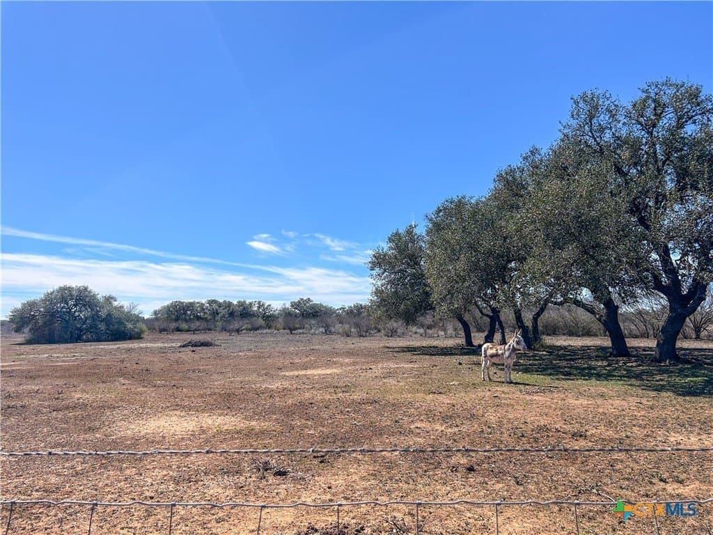 37.04 acres in Bee County - photo 36