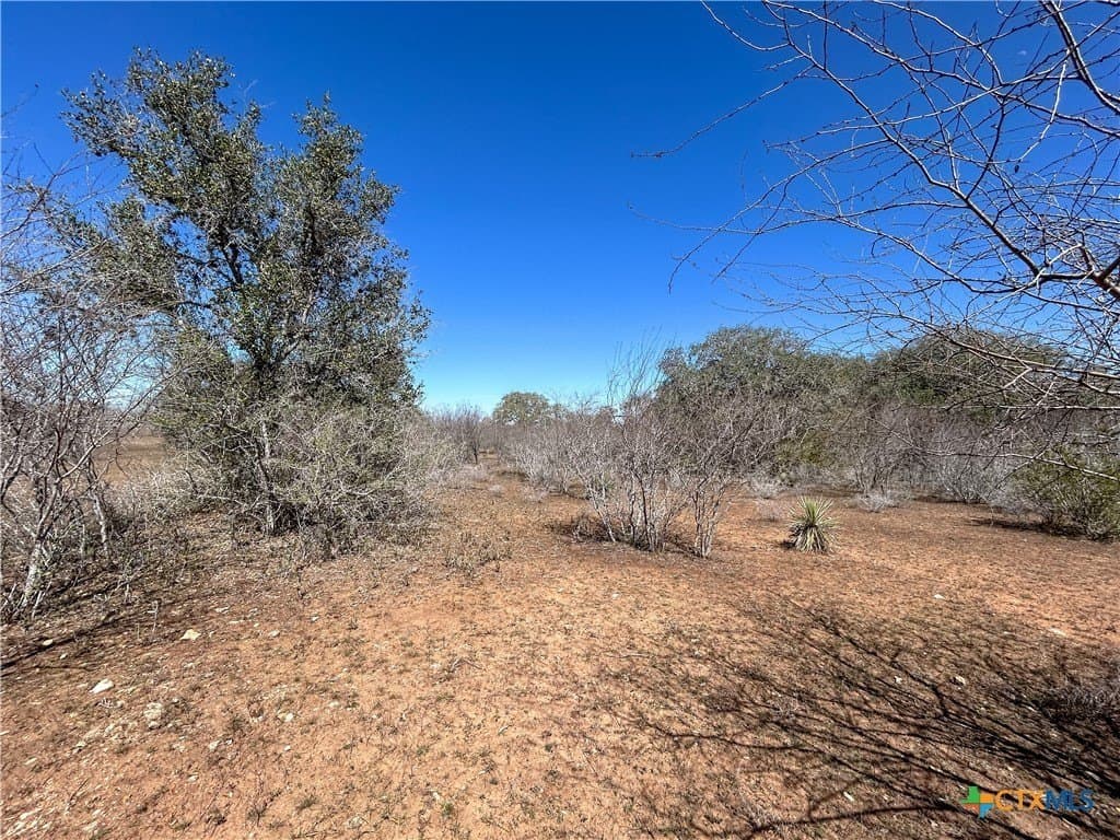 37.04 acres in Bee County - photo 41