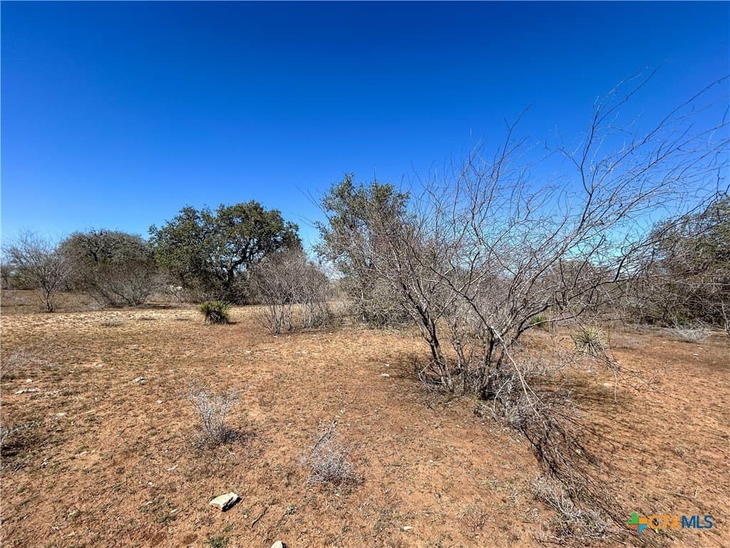 37.04 acres in Bee County - photo 40