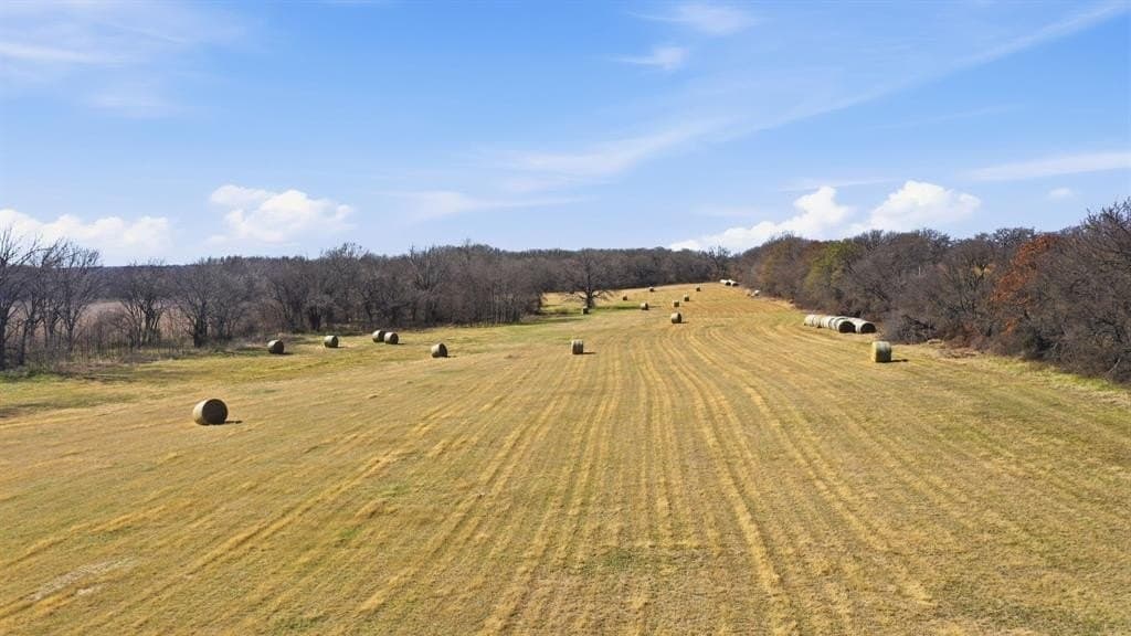 30.95 acres in Eastland County gallery image 2