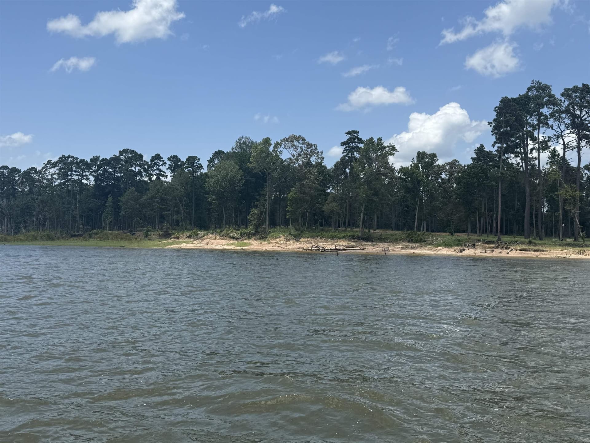 4 acres in Texas County gallery image 3