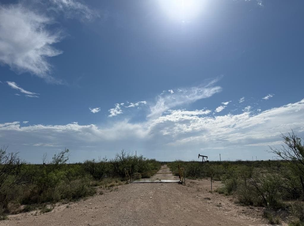 29.5 acres in Pecos County