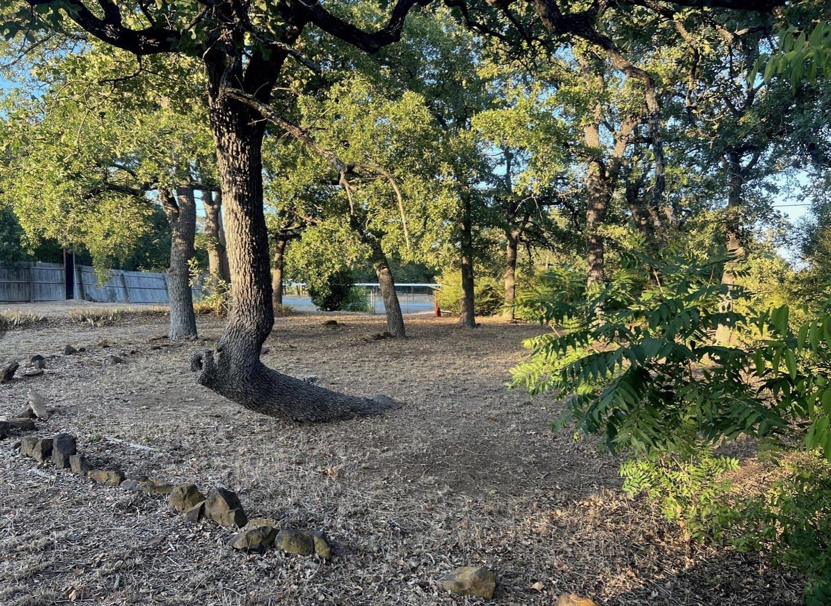 0.41 acres in Denton County - photo 11