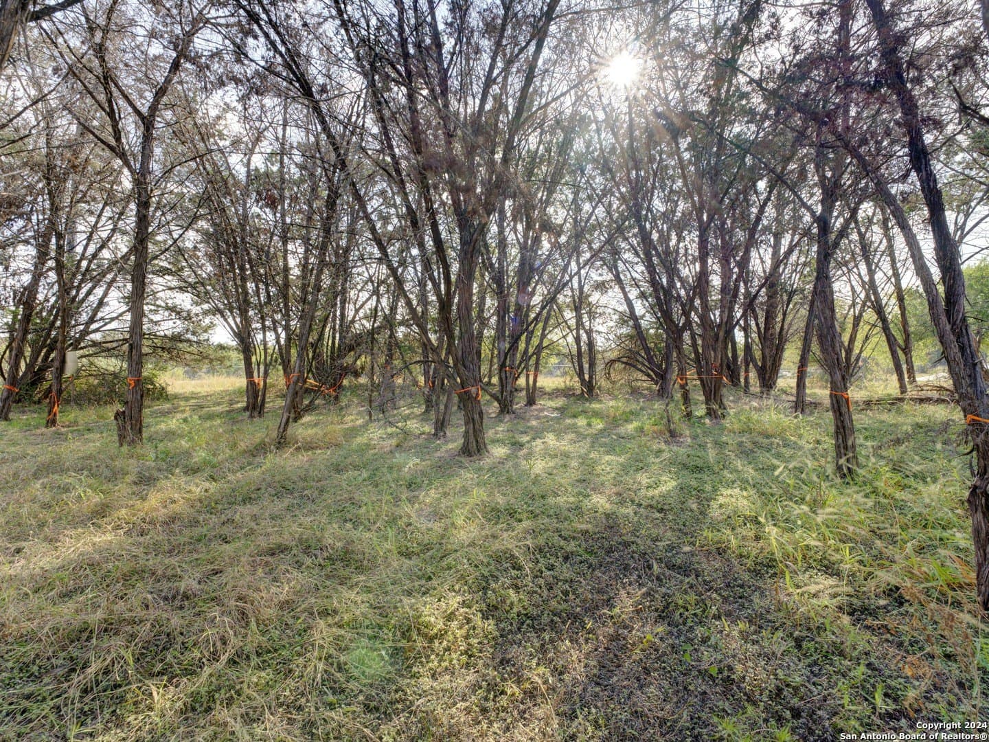 0.4 acres in Comal County - photo 9