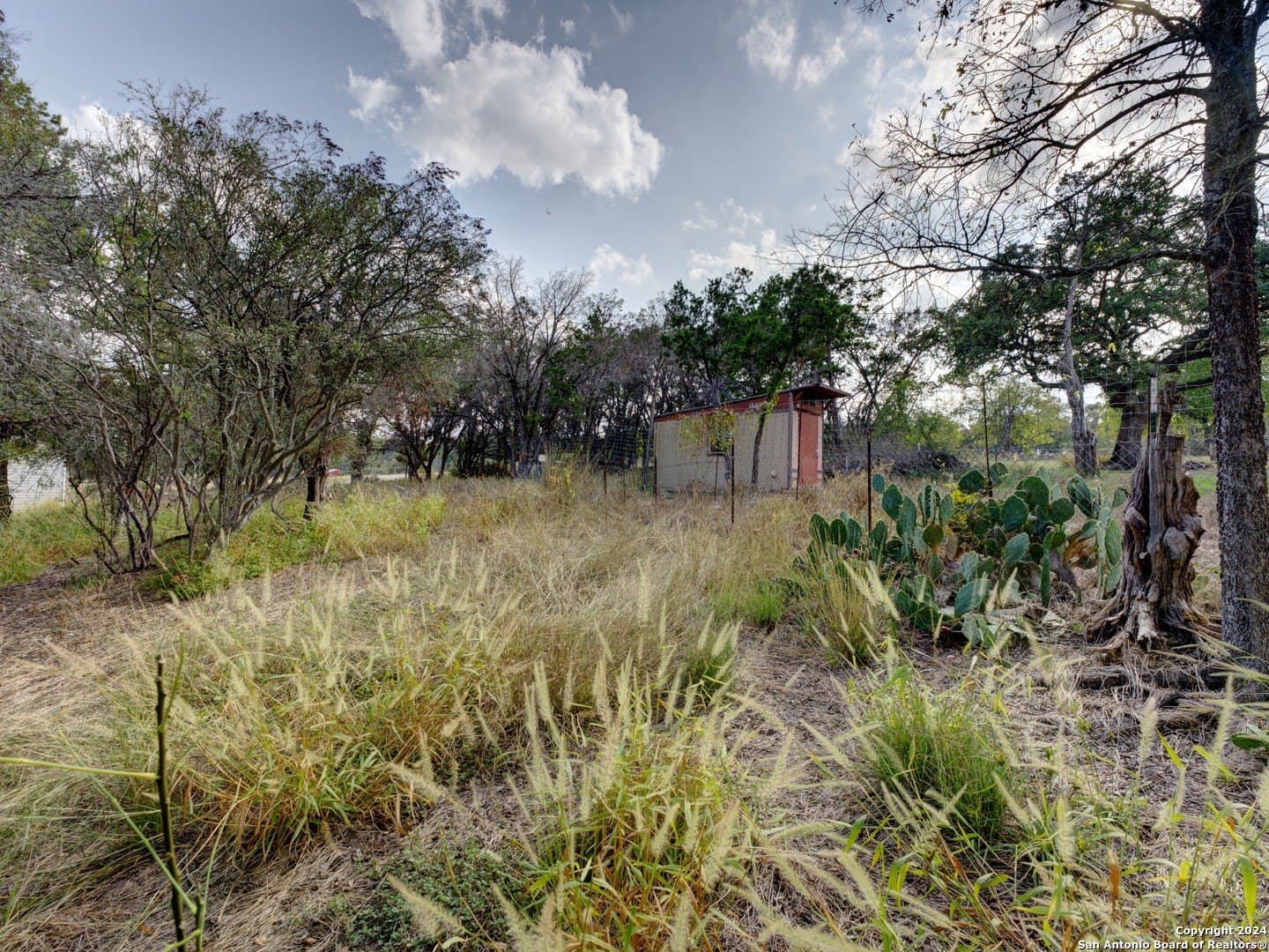 0.4 acres in Comal County - photo 6