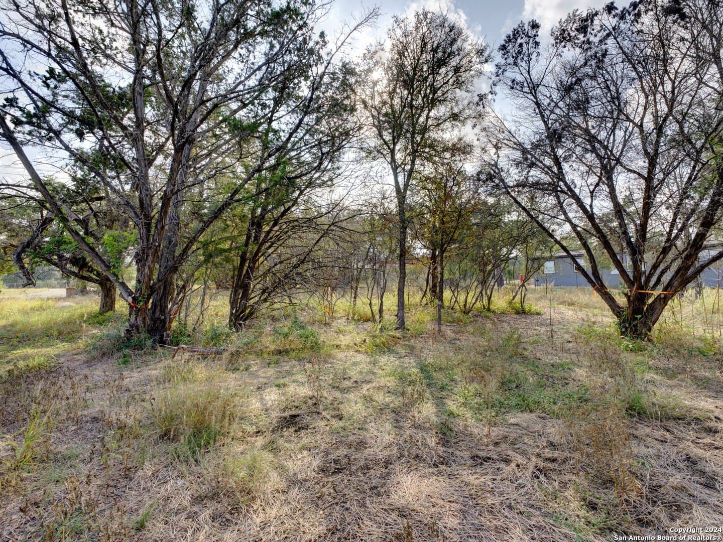0.4 acres in Comal County - photo 7