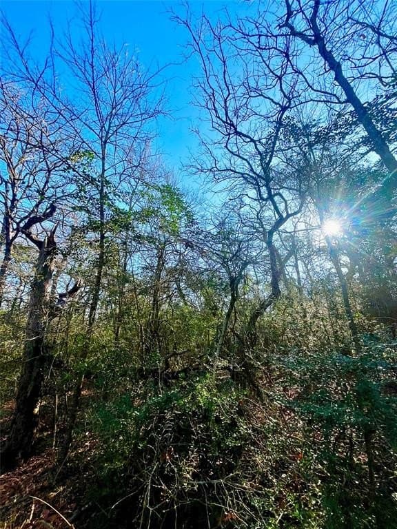 1 acres in Limestone County featured view
