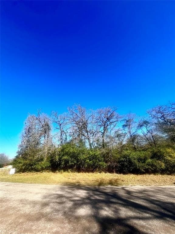 1 acres in Limestone County gallery image 3