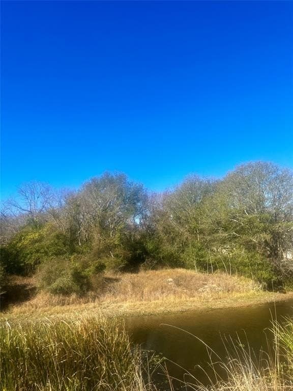 1 acres in Limestone County gallery image 2