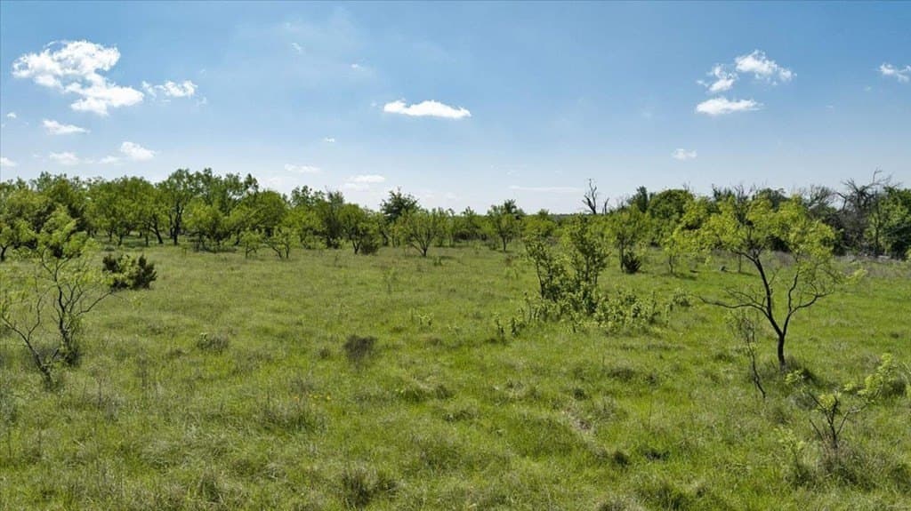 458 acres in Lampasas County - photo 16