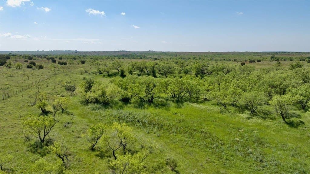 458 acres in Lampasas County - photo 22