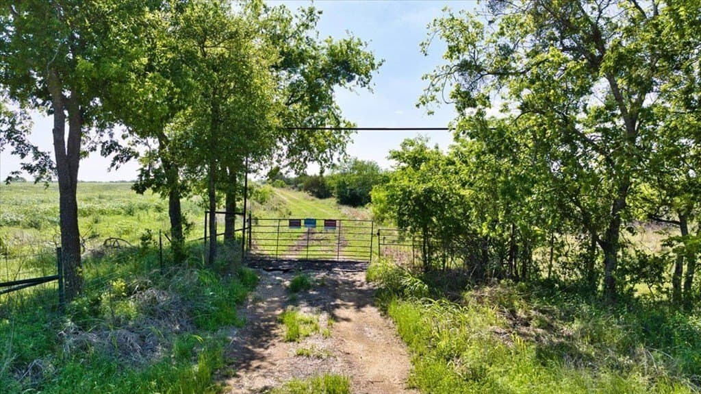 458 acres in Lampasas County - photo 7