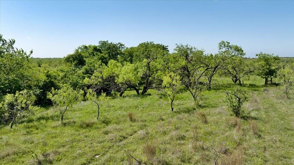 458 acres in Lampasas County - photo 26