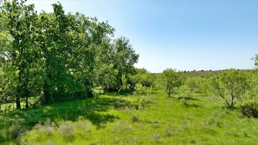 458 acres in Lampasas County - photo 27