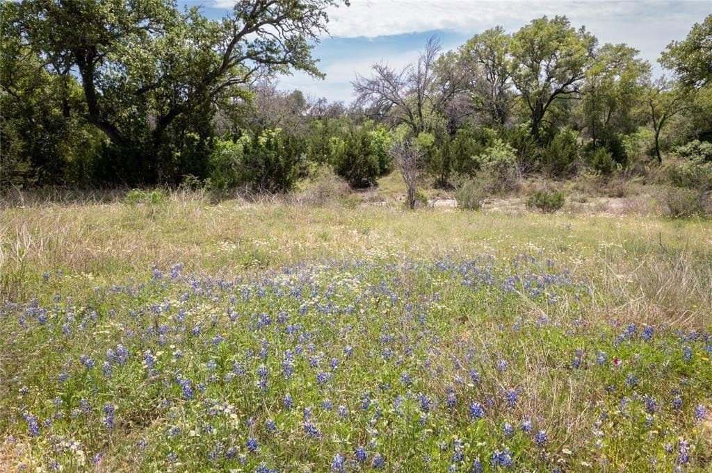 25 acres in Burnet County - photo 7