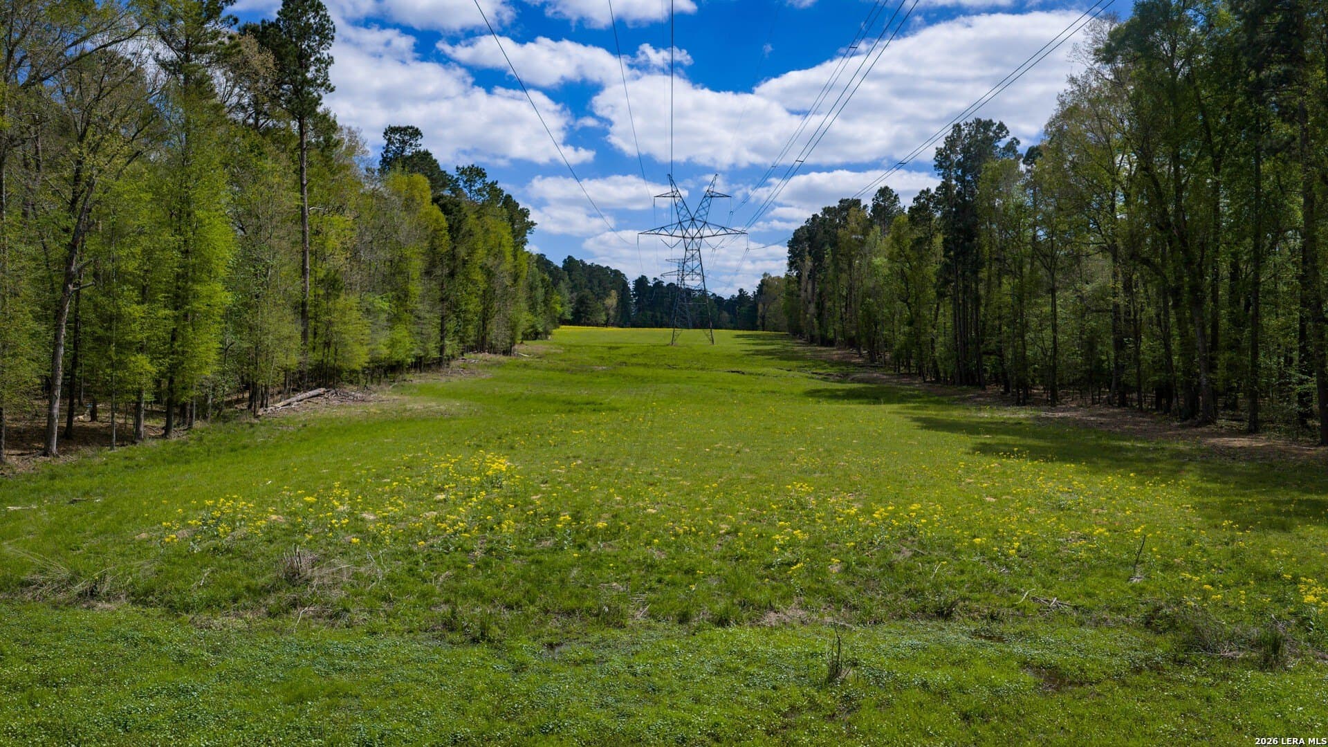 260 acres in Nacogdoches County - photo 44