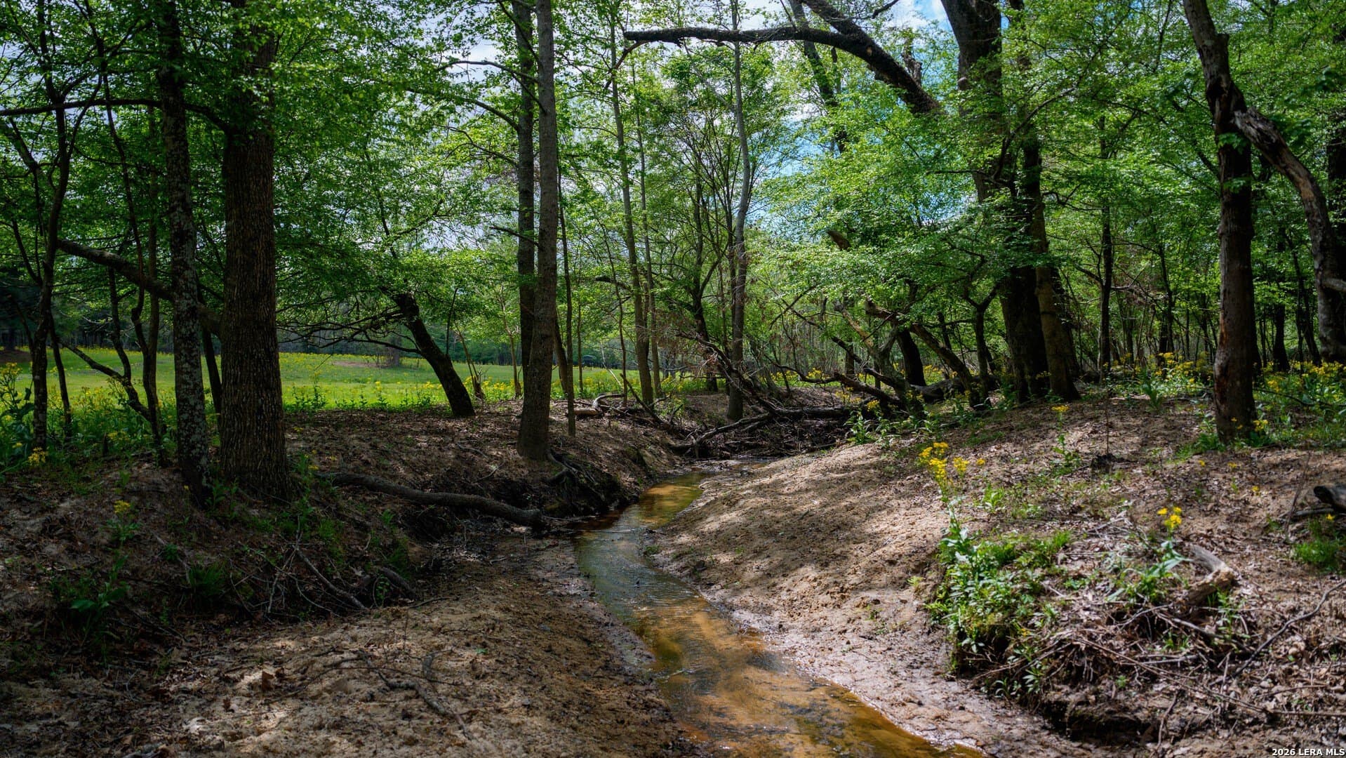 260 acres in Nacogdoches County - photo 35