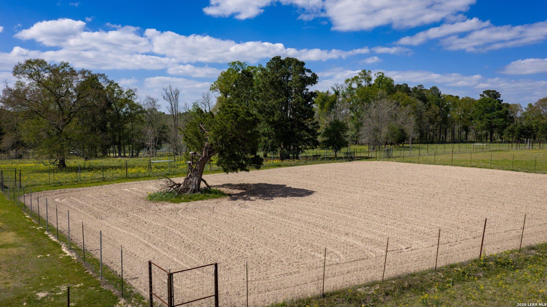 260 acres in Nacogdoches County - photo 45