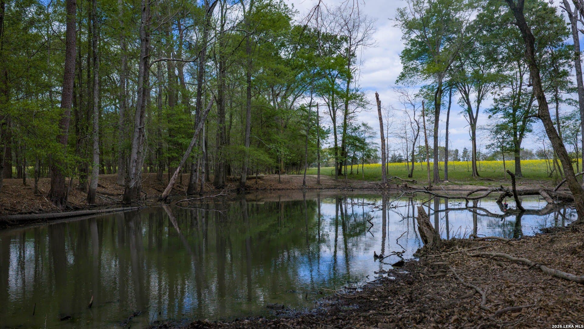 260 acres in Nacogdoches County - photo 38