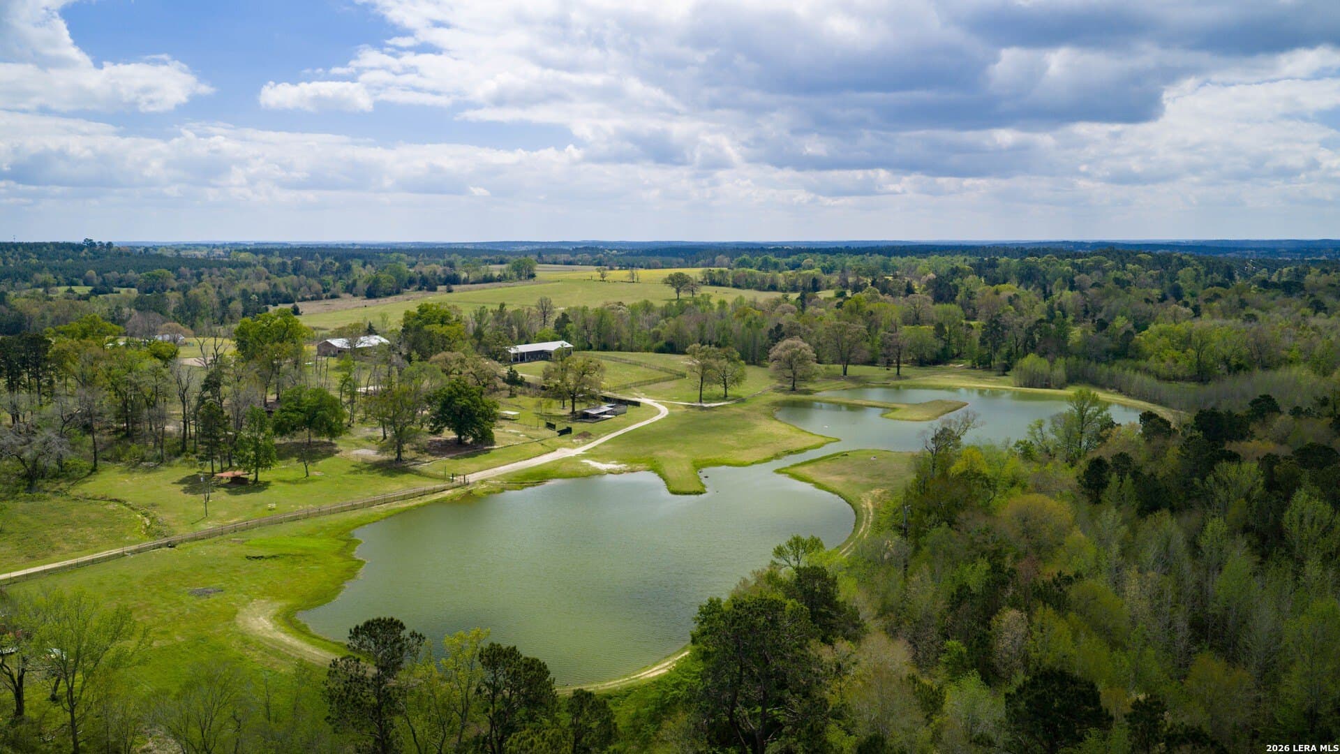 260 acres in Nacogdoches County gallery image 2