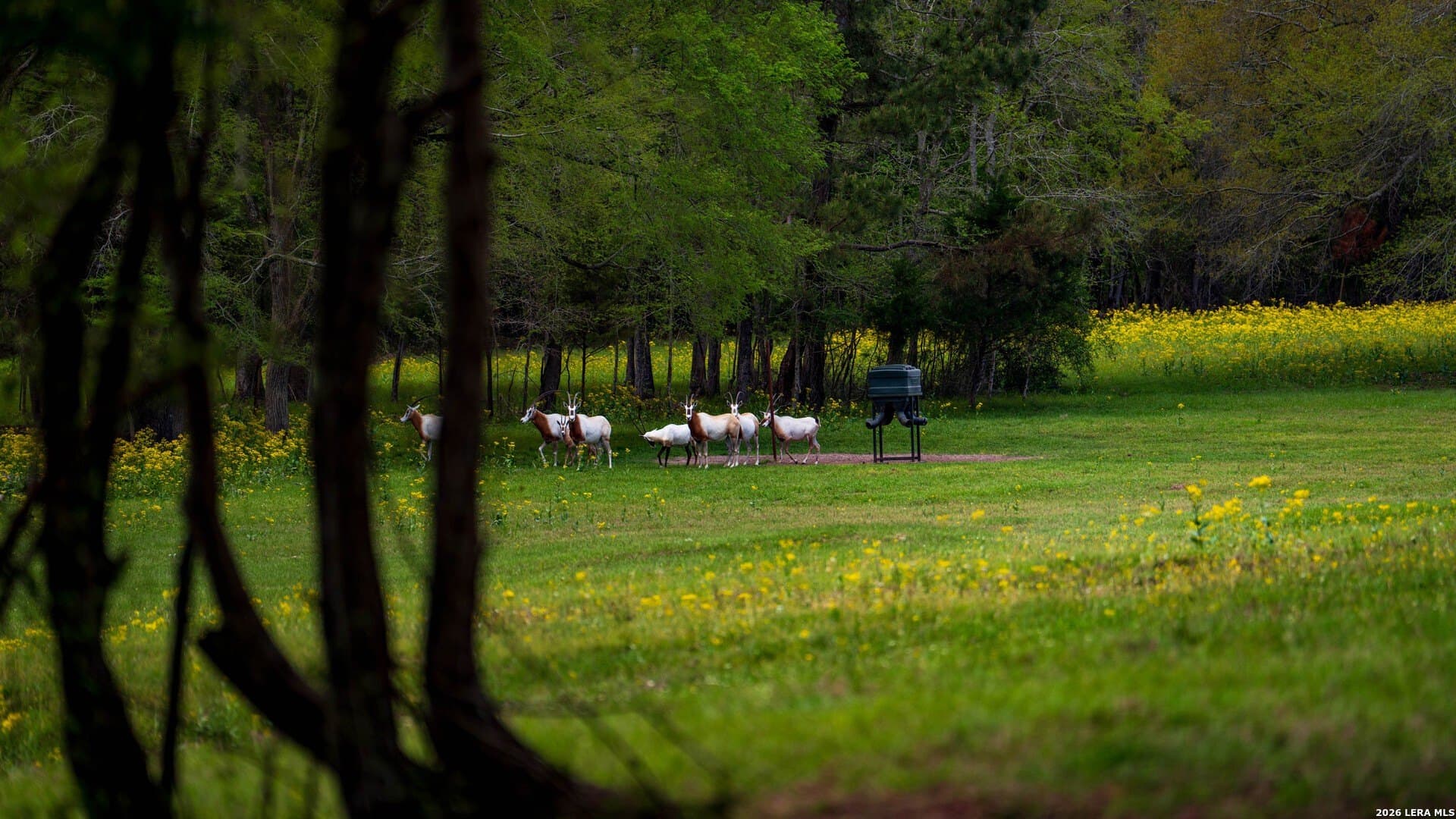 260 acres in Nacogdoches County - photo 32