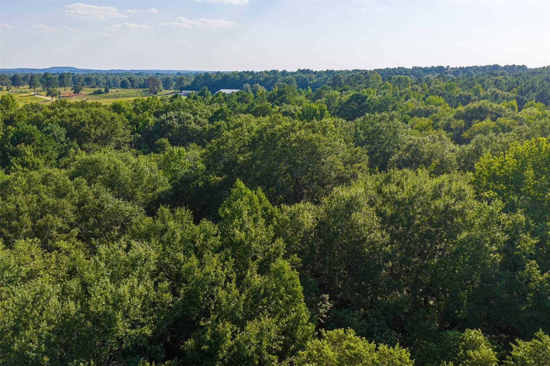 63 acres in Henderson County - photo 23