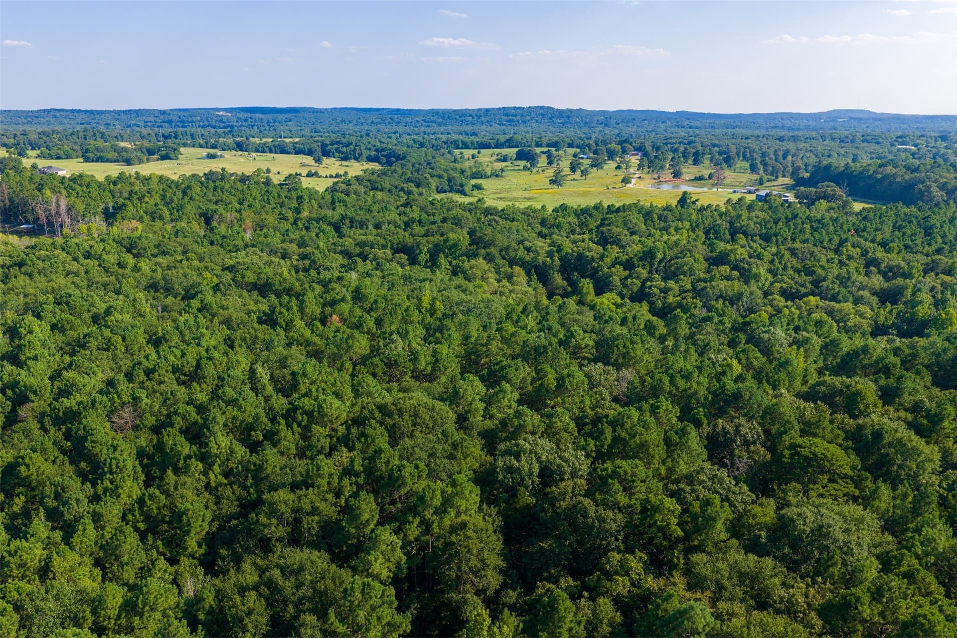 63 acres in Henderson County - photo 27
