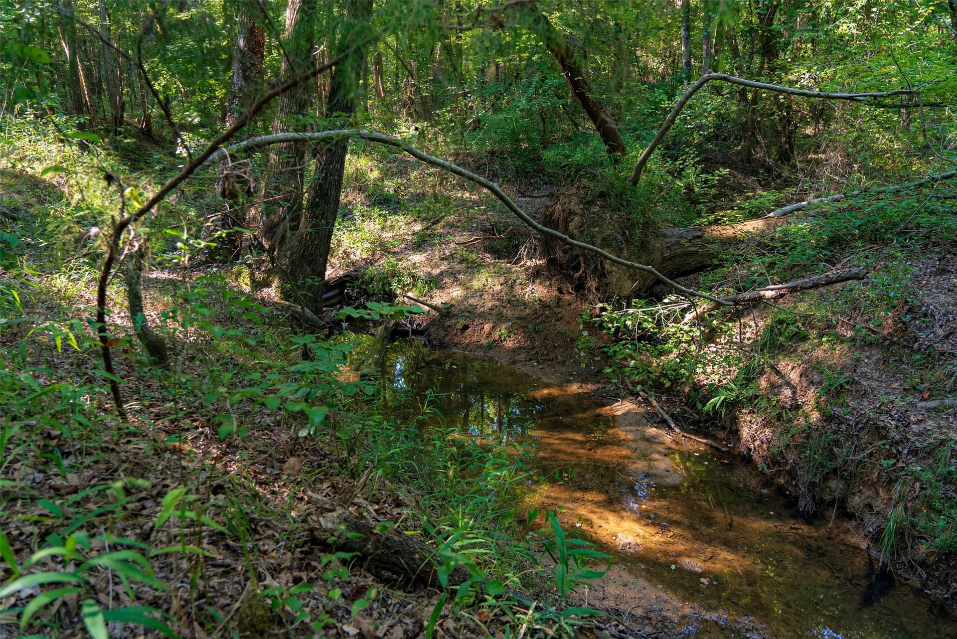 63 acres in Henderson County - photo 2