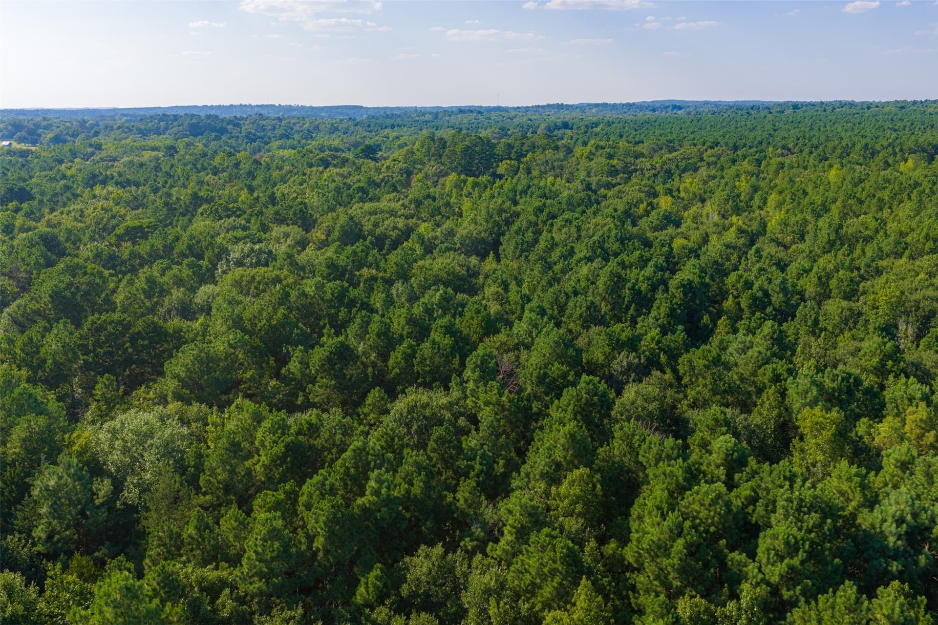 63 acres in Henderson County - photo 16