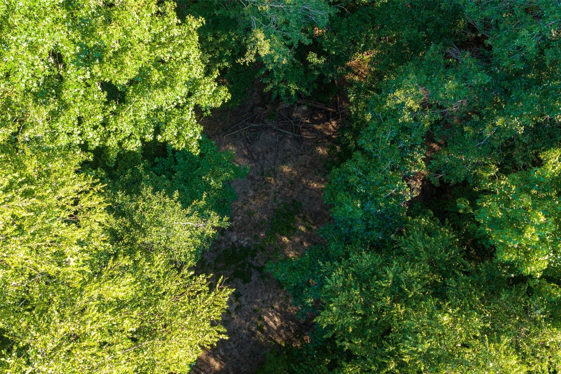 63 acres in Henderson County - photo 17