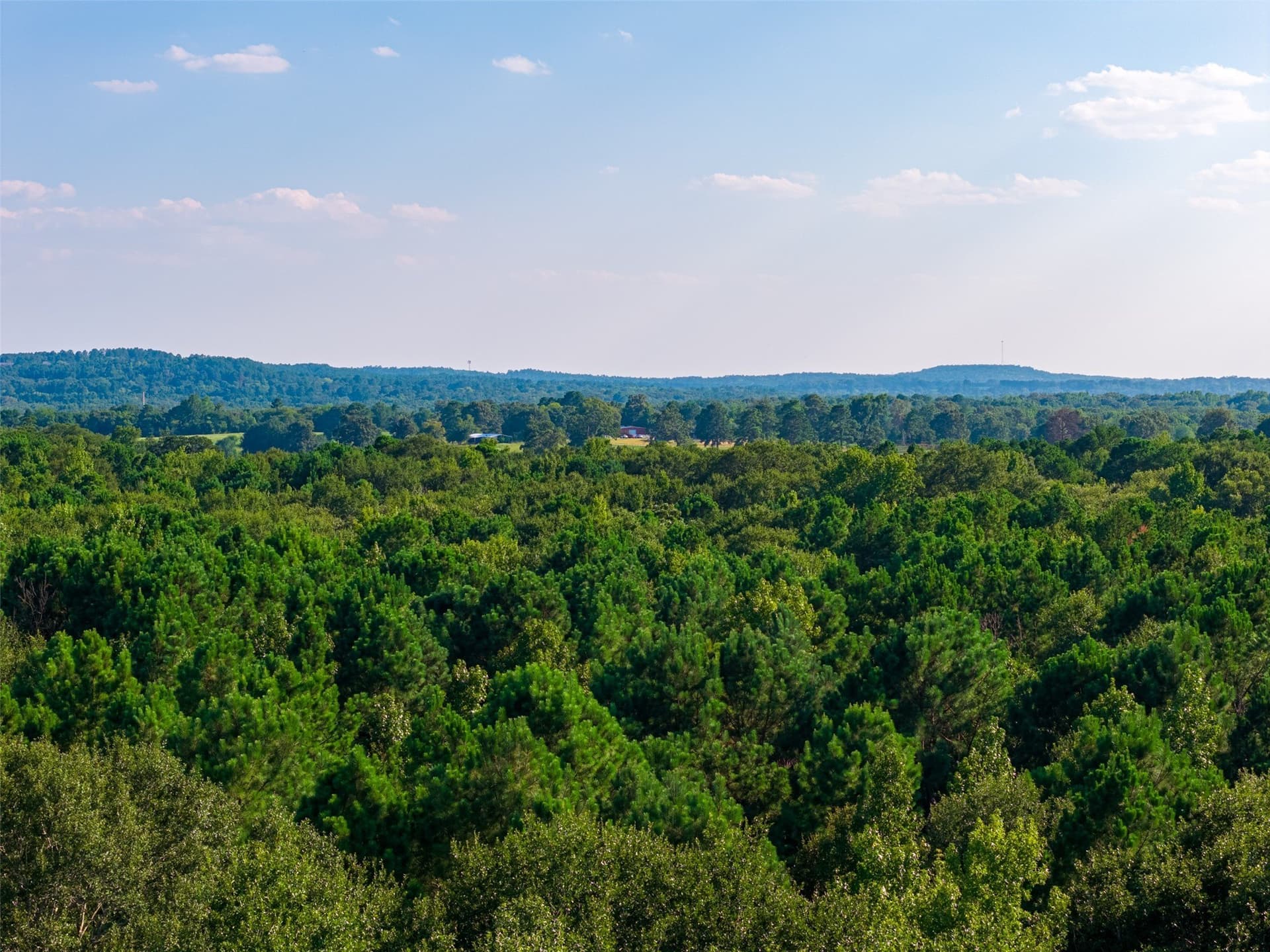 63 acres in Henderson County - photo 9