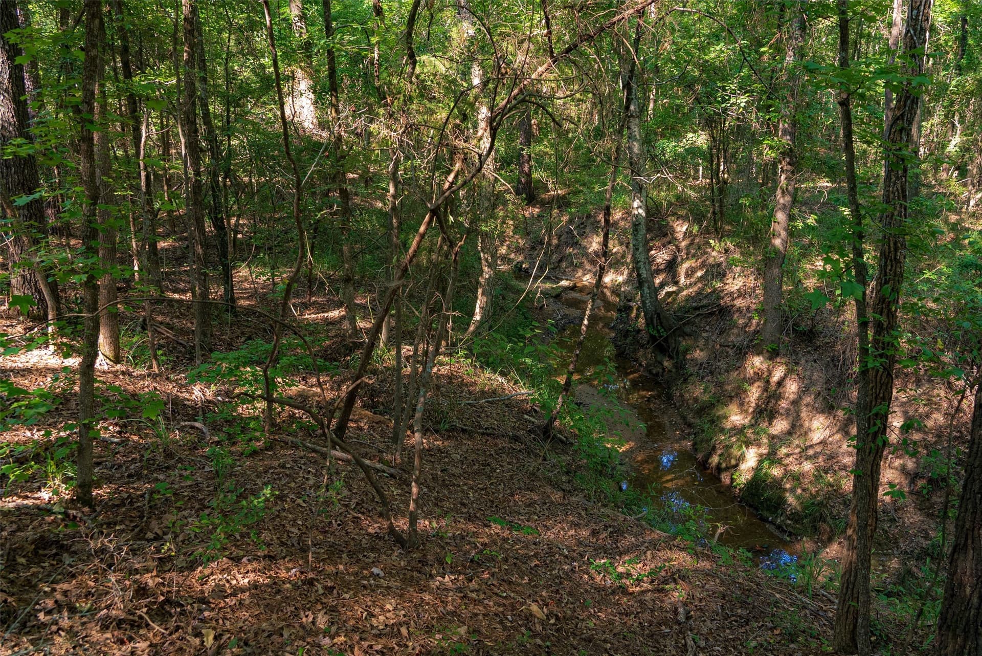 63 acres in Henderson County - photo 29