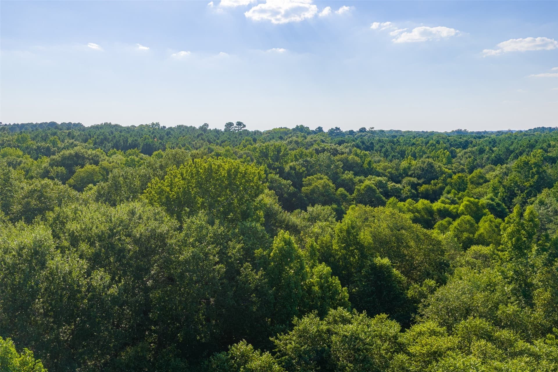 63 acres in Henderson County - photo 19
