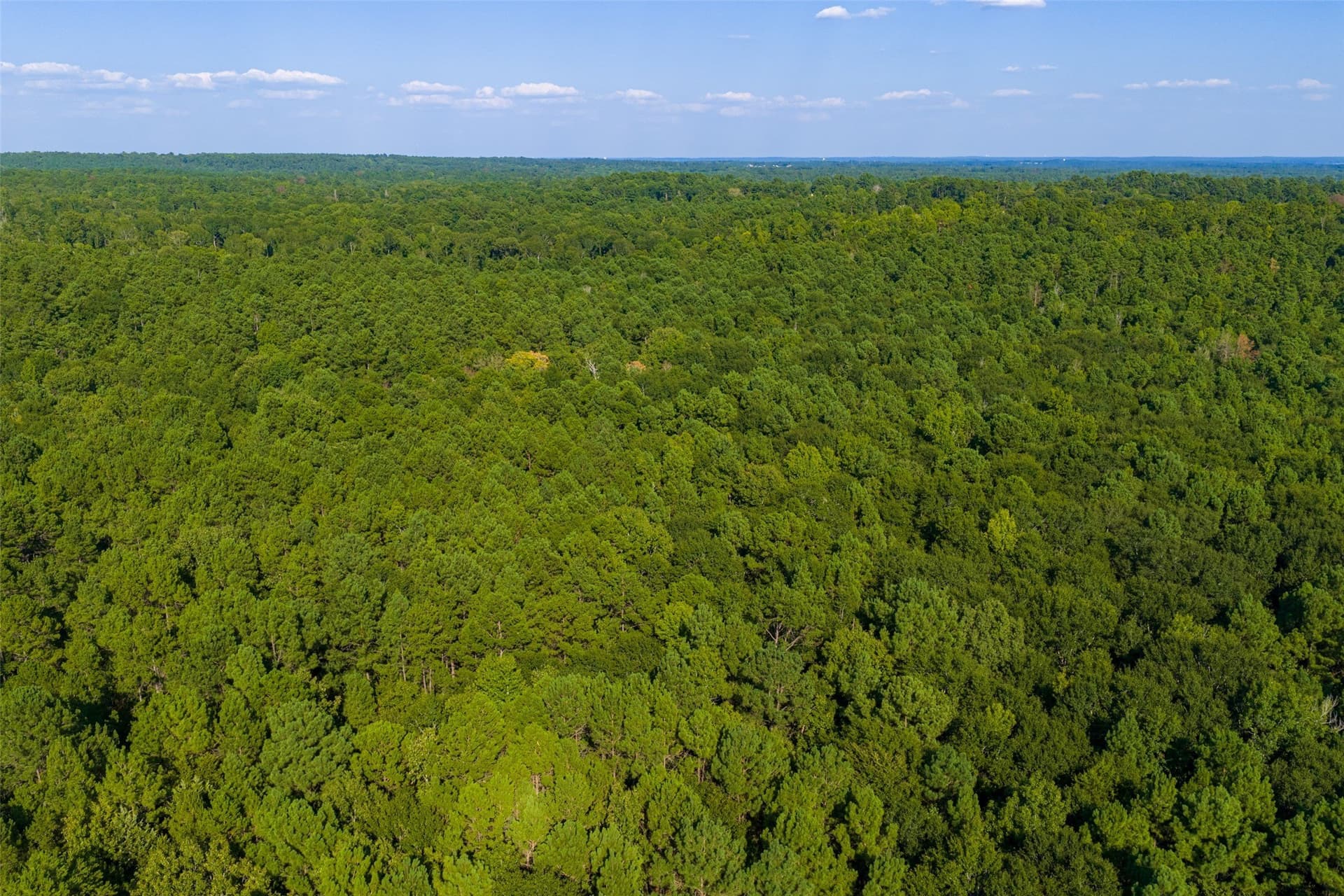 63 acres in Henderson County - photo 26
