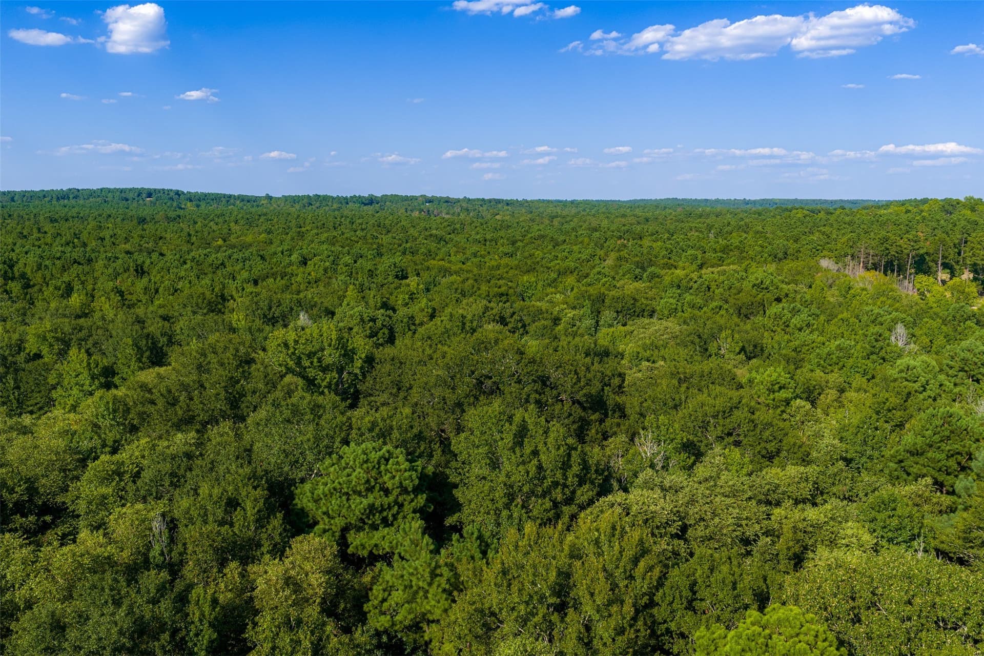63 acres in Henderson County - photo 15