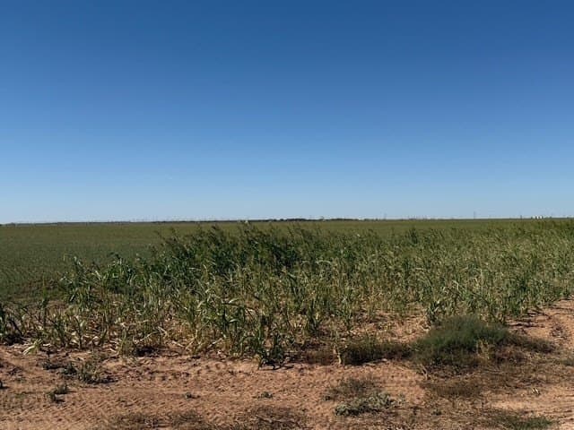 50 acres in Howard County gallery image 3