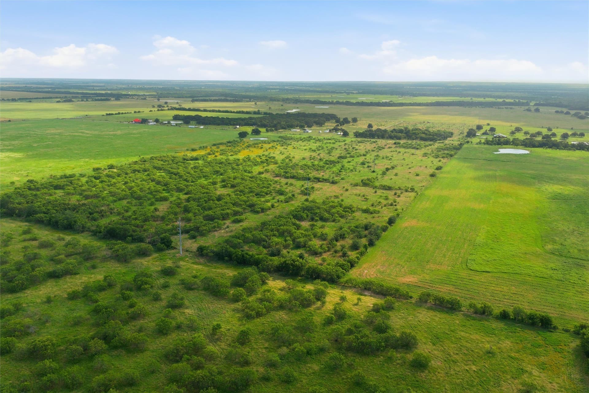 49.75 acres in Limestone County - photo 17