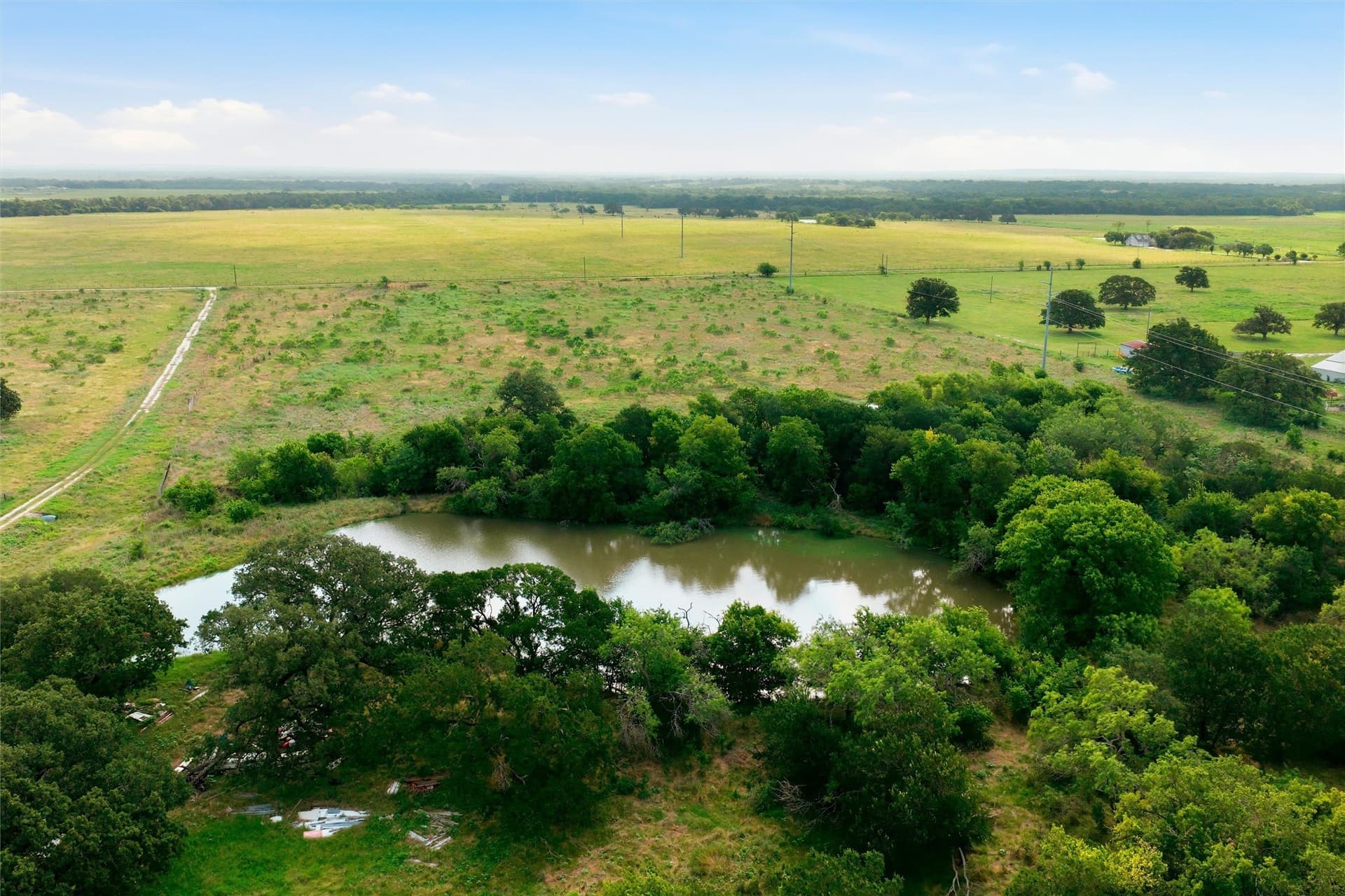 49.75 acres in Limestone County - photo 7
