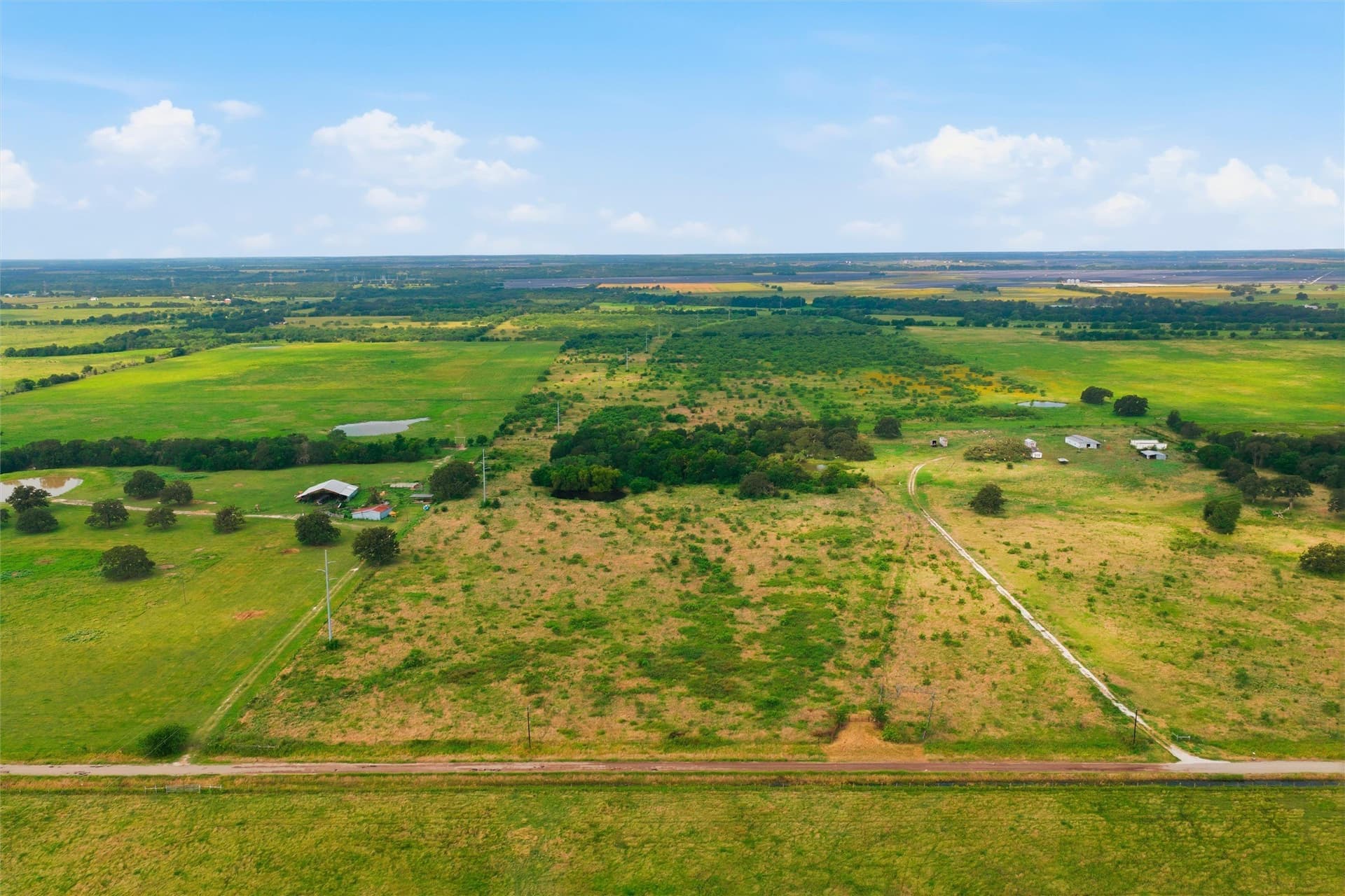 49.75 acres in Limestone County - photo 13