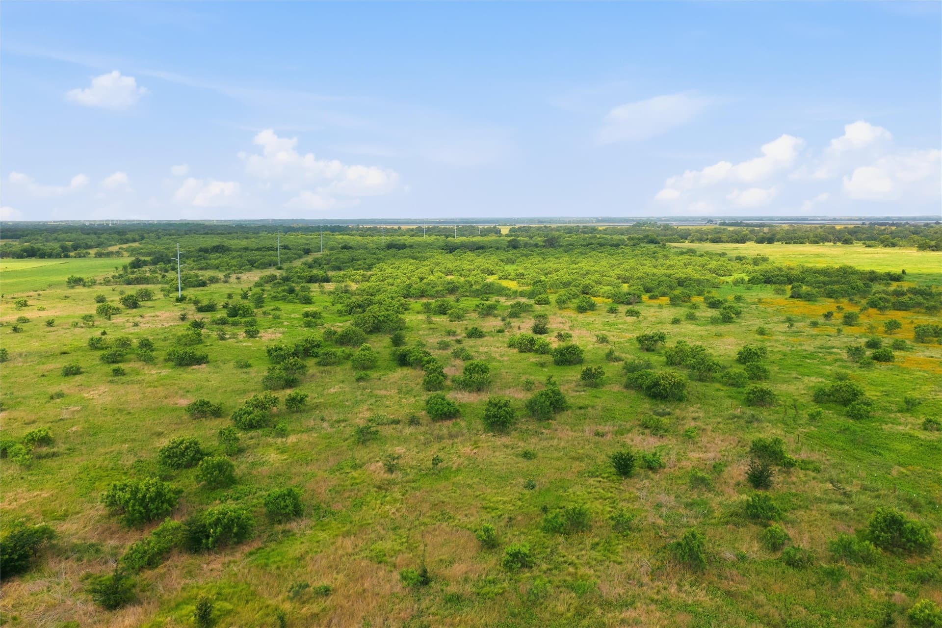 49.75 acres in Limestone County - photo 8