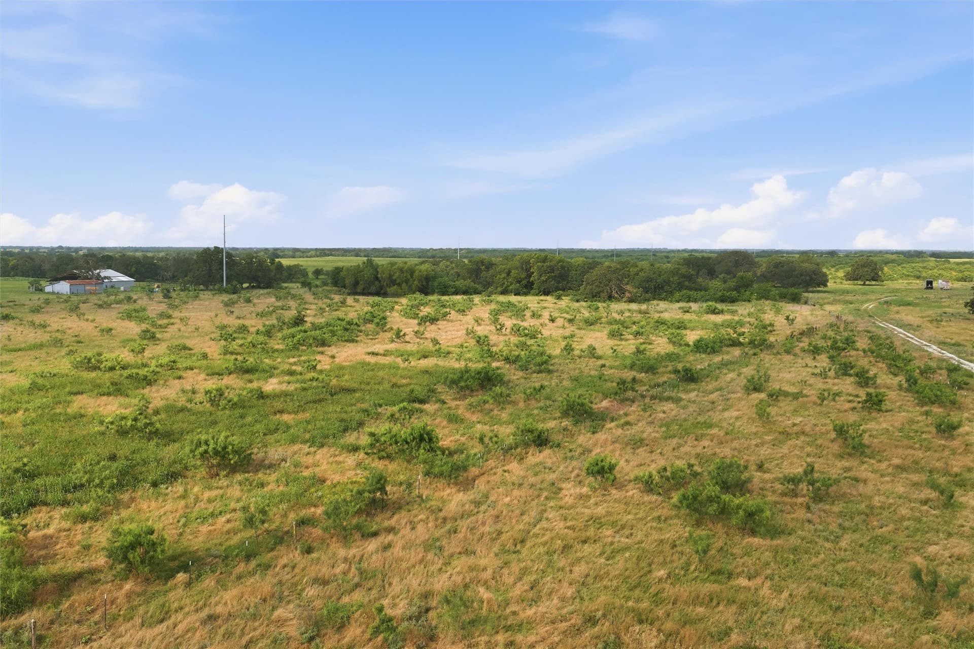 49.75 acres in Limestone County - photo 12