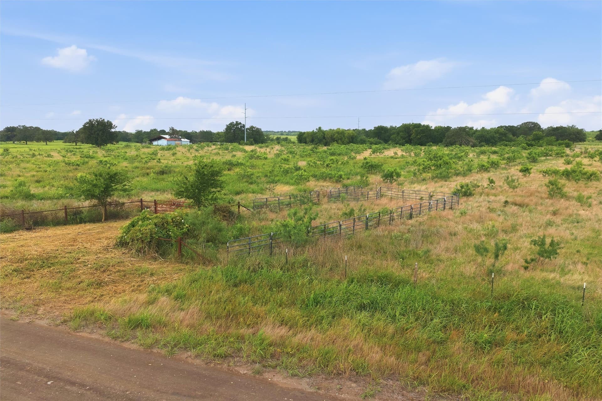 49.75 acres in Limestone County - photo 10