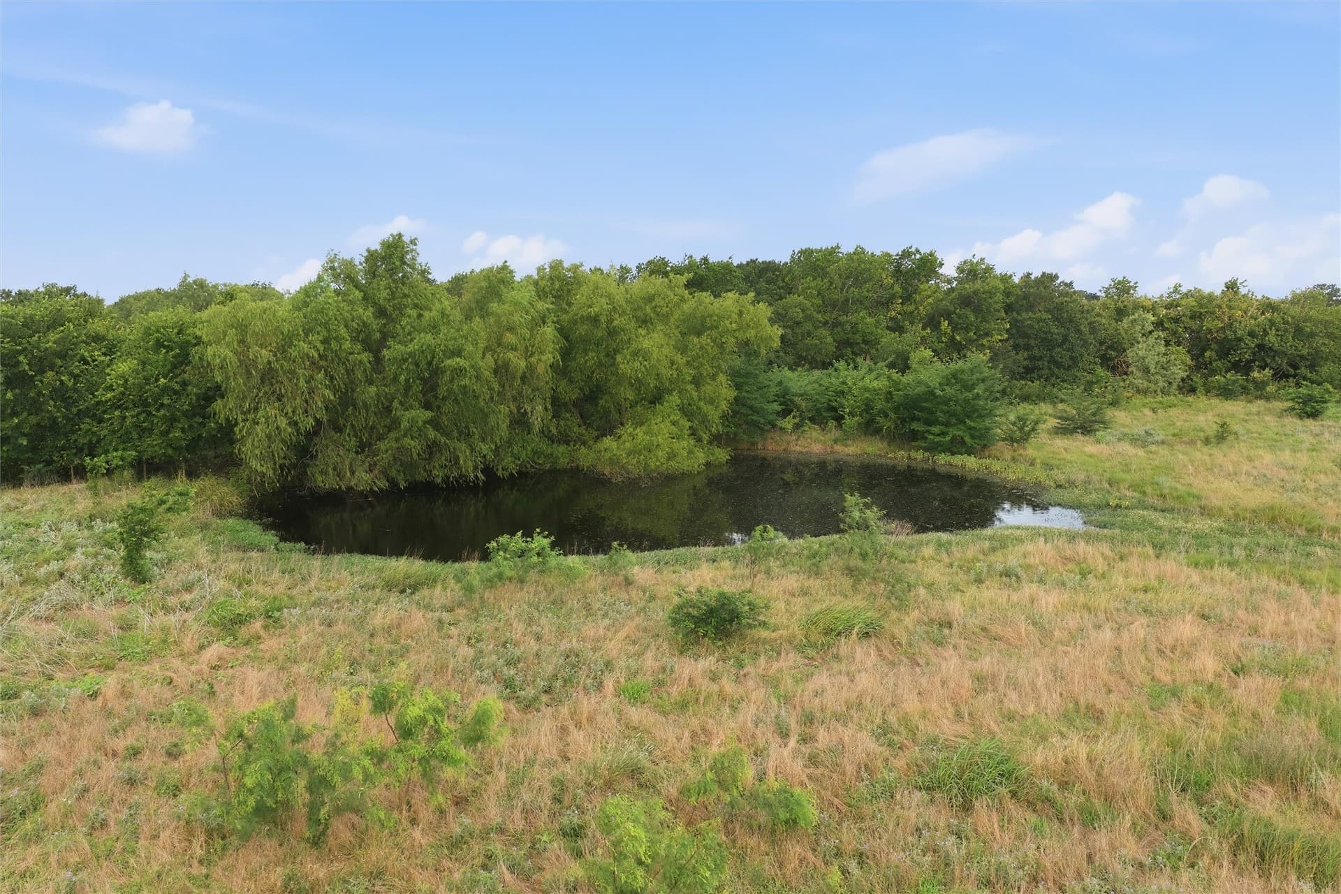 49.75 acres in Limestone County - photo 6